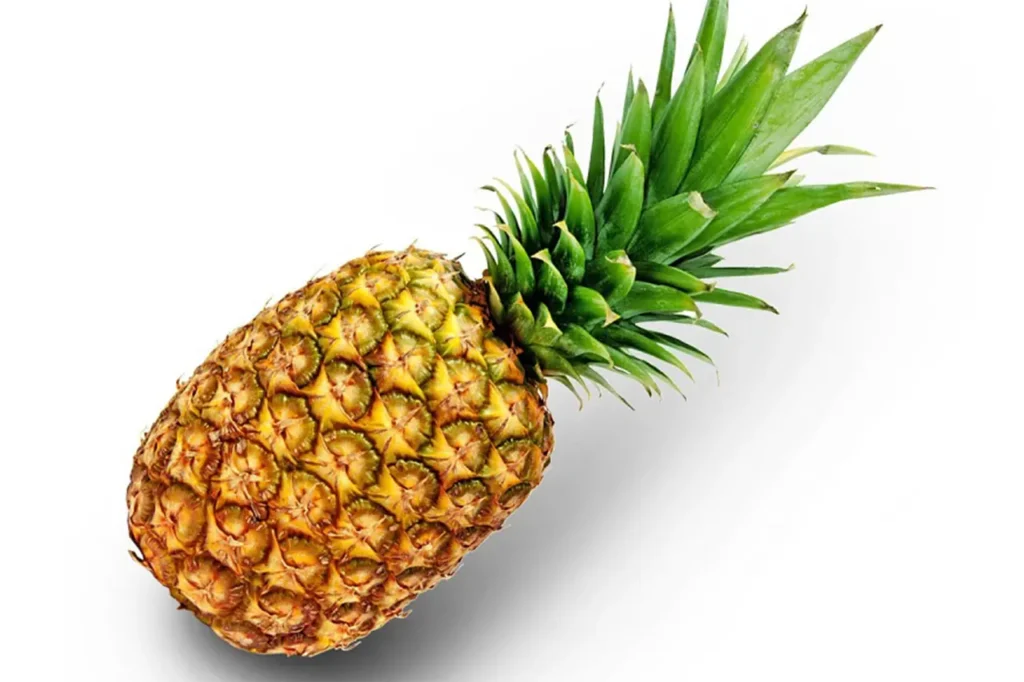 دستگاه خشک‌کن میوه آناناس