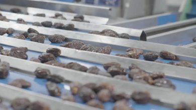 دستگاه بسته بندی خرما