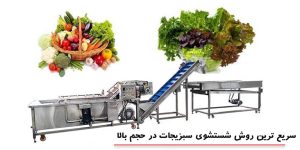 سریع ترین روش شستشوی سبزیجات