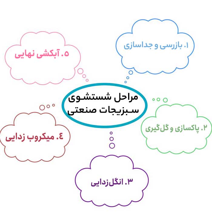 مراحل شستشوی سبزیجات وزارت بهداشت