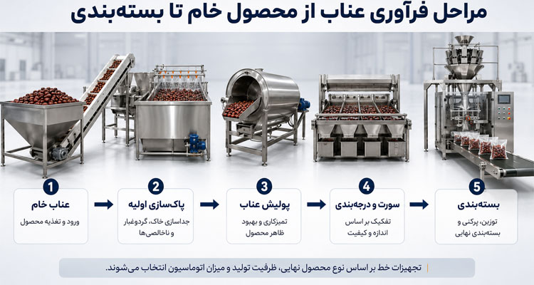 مراحل فرآوری عناب
